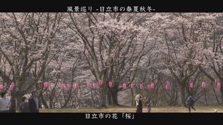 風景巡り
